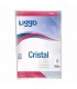 Folios A4 100Unid. Liggo Cristal 40 Mic