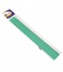 Regla Pizzini Verde 30cm